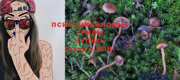 мдпв Мегион