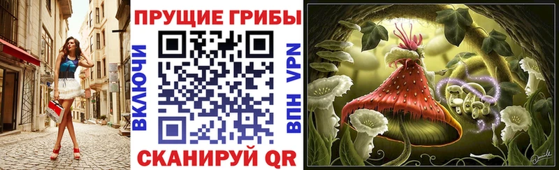 Галлюциногенные грибы мицелий  Таштагол 